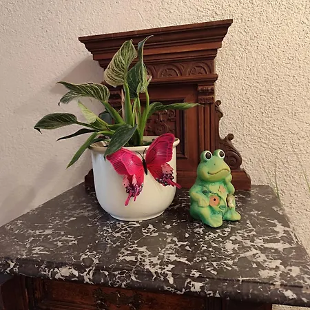 Pendl Accommodatie bij particulieren *