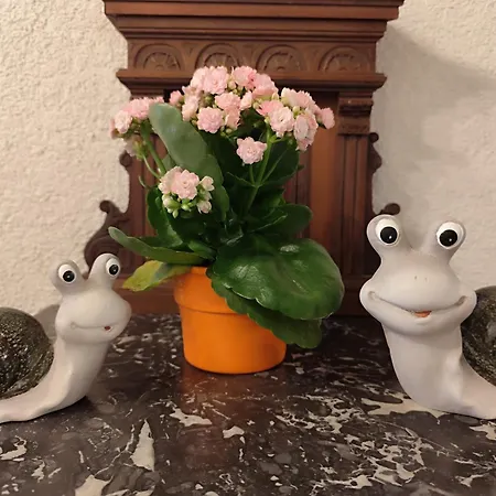 ホームステイ Pendl *