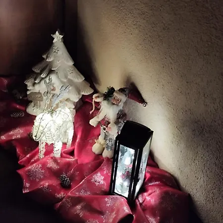 ホームステイ Pendl